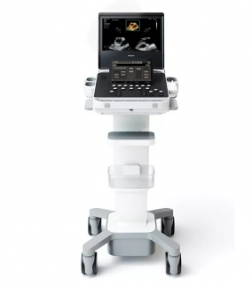 5500 Ultrasound Basic Echocardiography